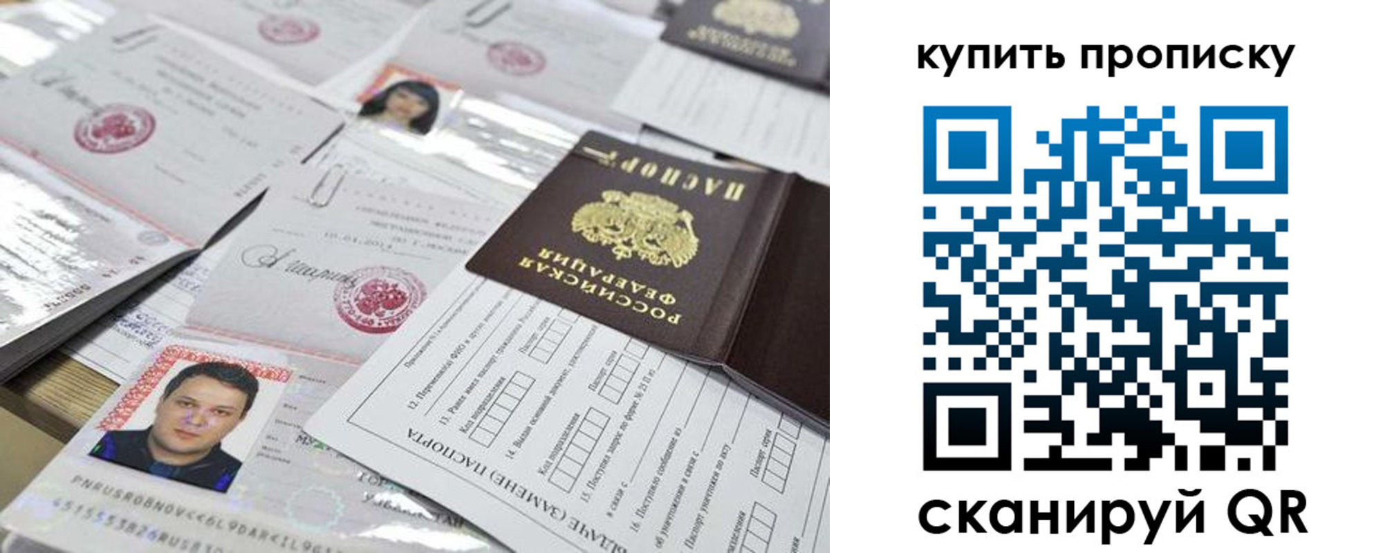 прописка гарантия в Королёве
